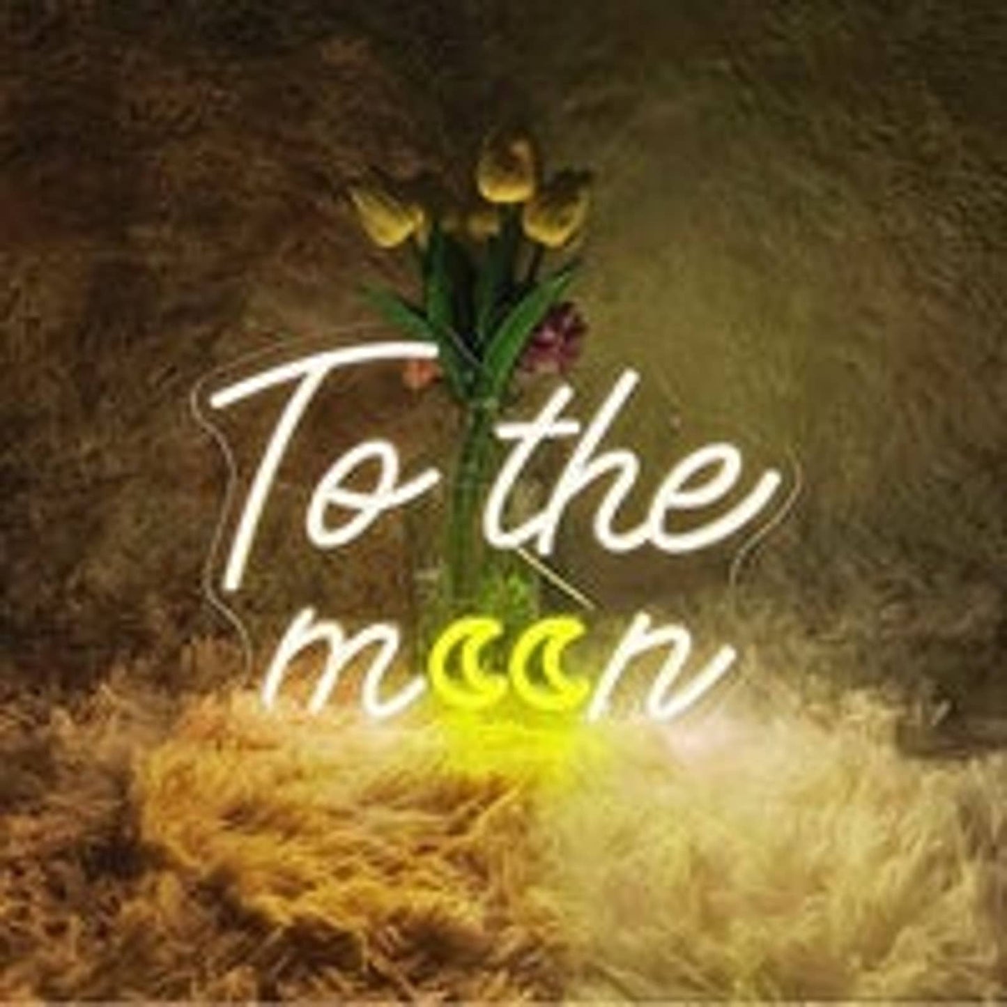 Lovely Warm Bright Yellow/White Double Moon To the Moon LED Night Light Wall Dec
