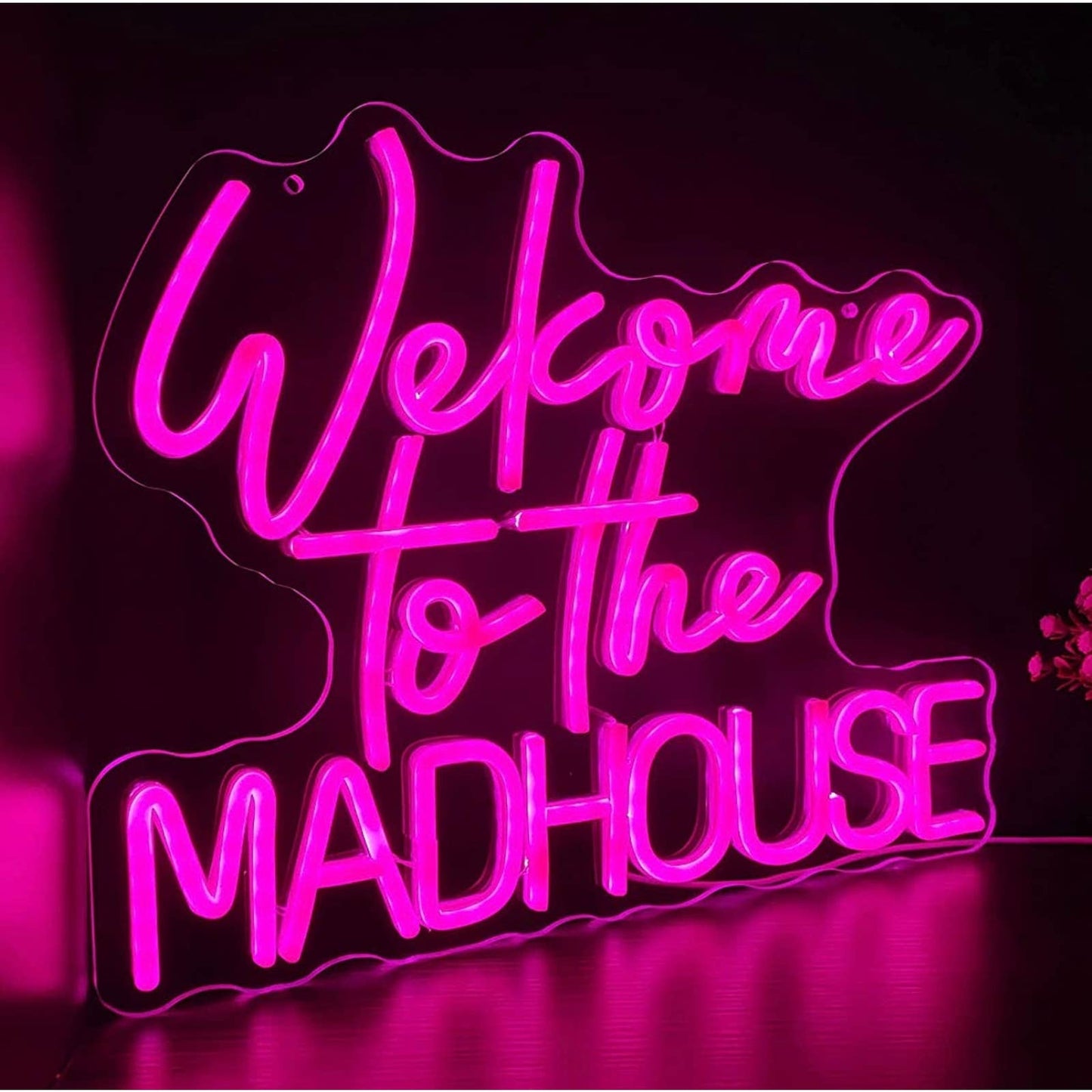 Fun Bright Pink “Welcome to the Madhouse” LED Night Light Room Wall Decoration