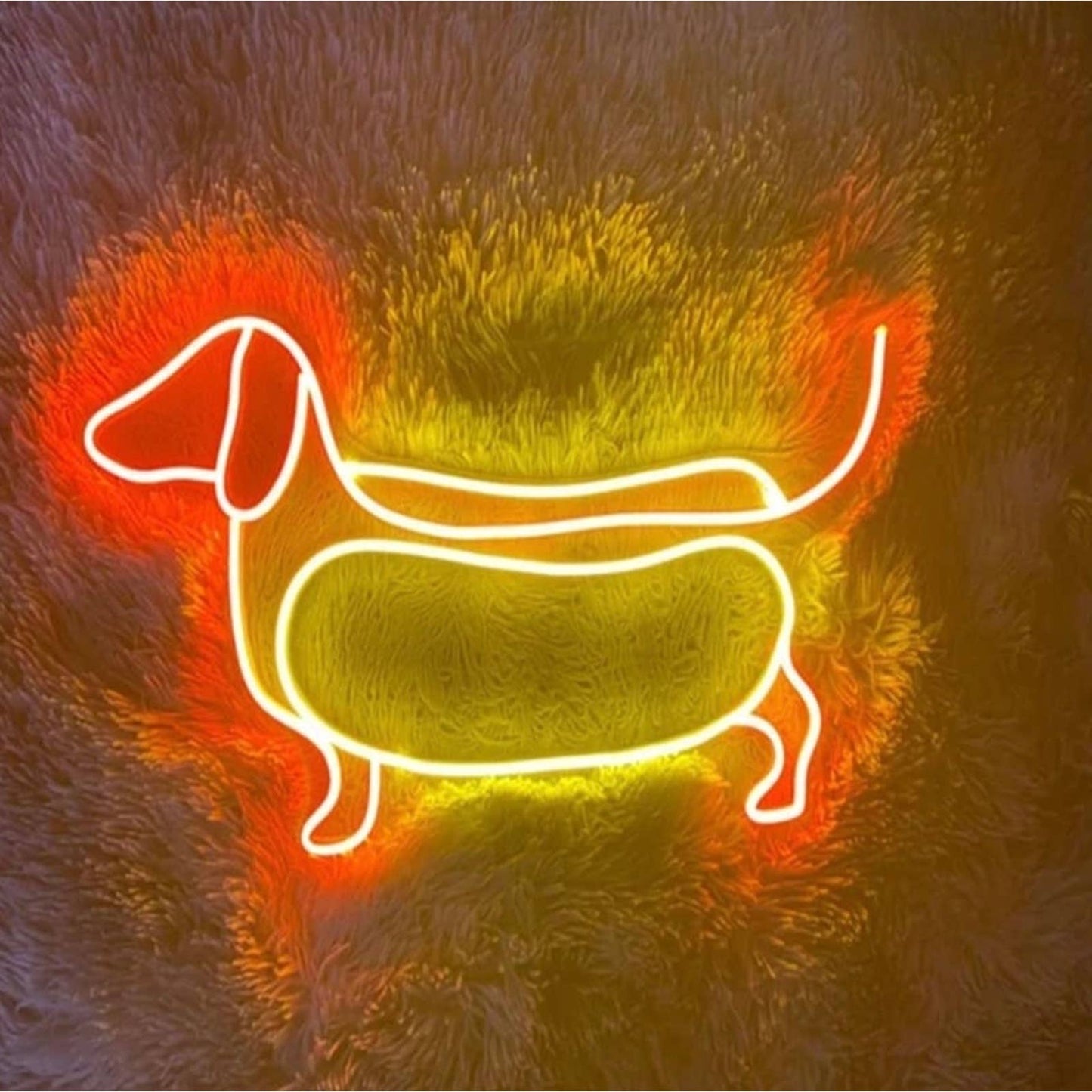 Adorable Dachshund Hot Dog Bun LED Night Light Room Wall Pet Decoration