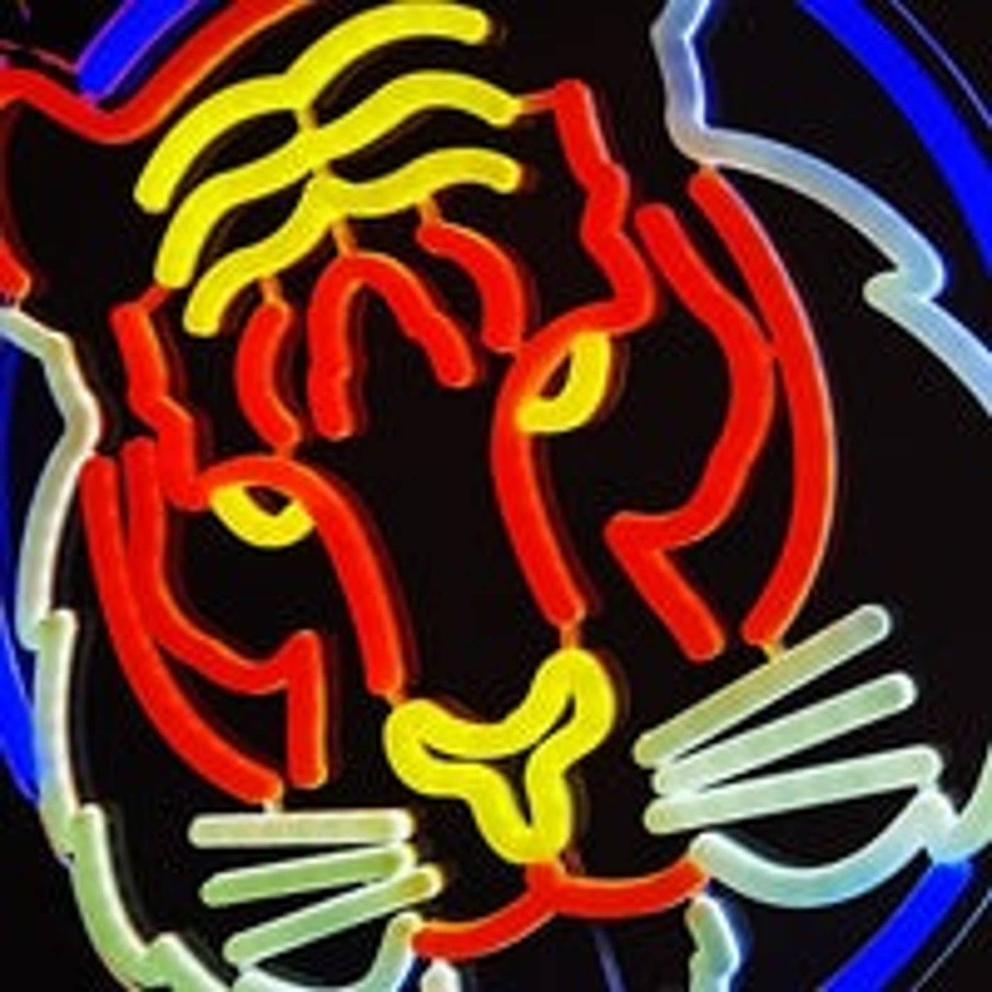 Vivid Bright Colorful Tiger LED Night Light Room Wall Decoration