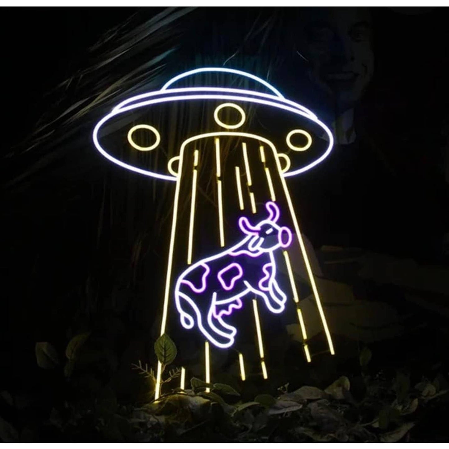 Fun Bright Large Alien UFO Abducting a Cow LED Night Light Room Wall Decor