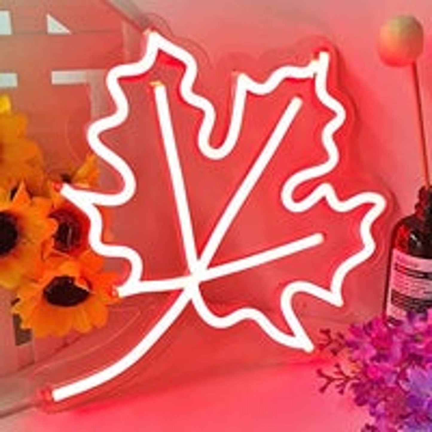 Vivid Bright Red Maple Leaf LED Night Light Canada Room Wall Decoration