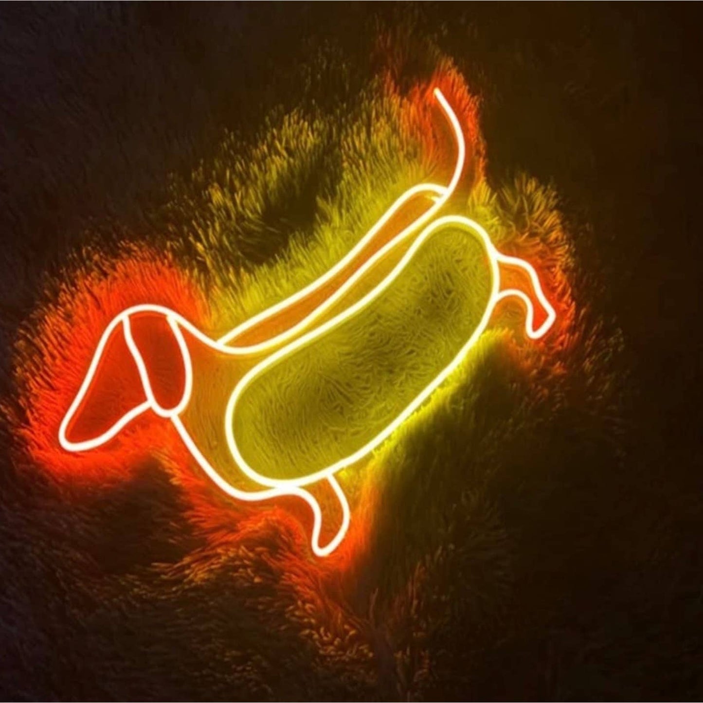 Adorable Dachshund Hot Dog Bun LED Night Light Room Wall Pet Decoration