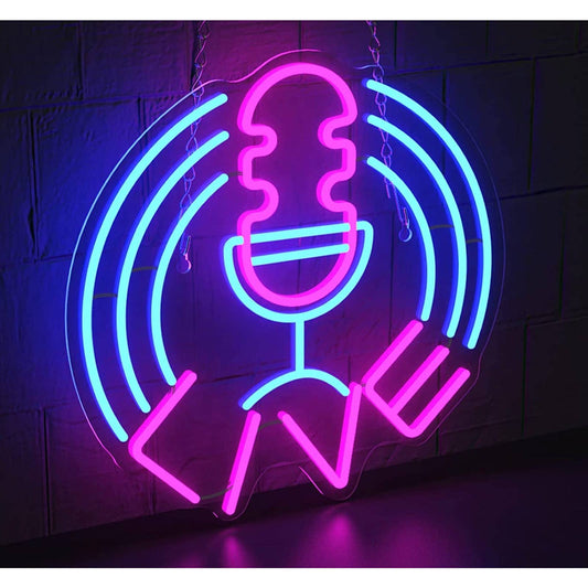 Lovely Bright Pink & Blue Microphone Live LED Night Light Studio Recording Room