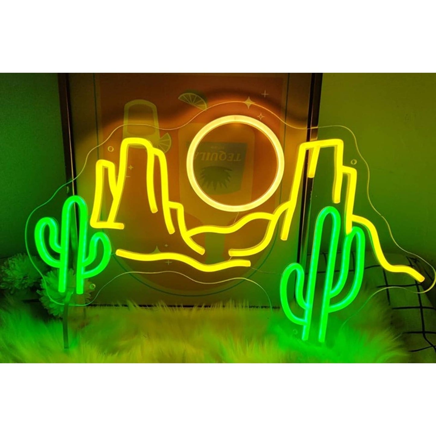 Vivid Bright Arizona / Las Vegas Desert Cactus Sun LED Night Light Decor