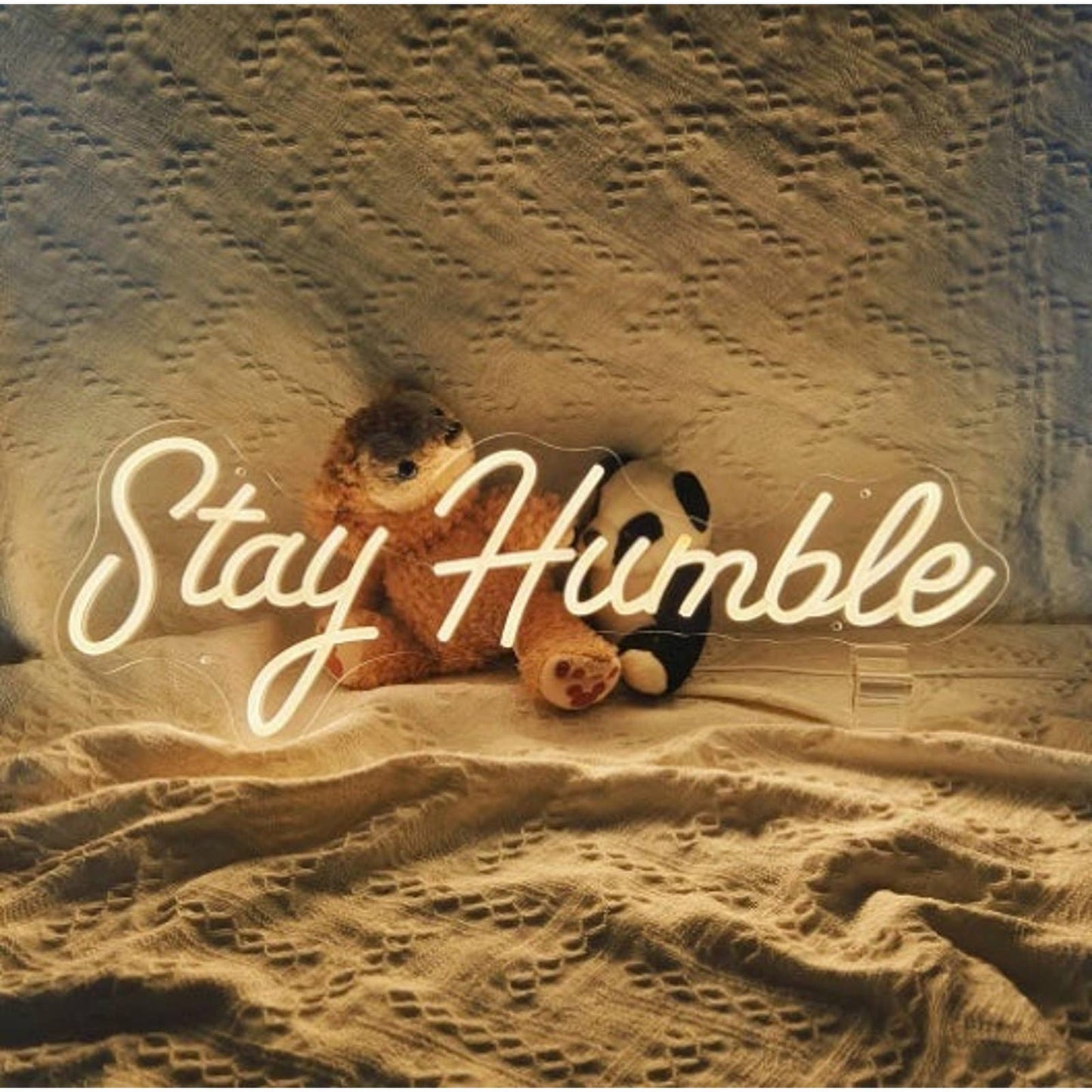Warm Bright Positive “Stay Humble” LED Night Light Room Wall Decoration