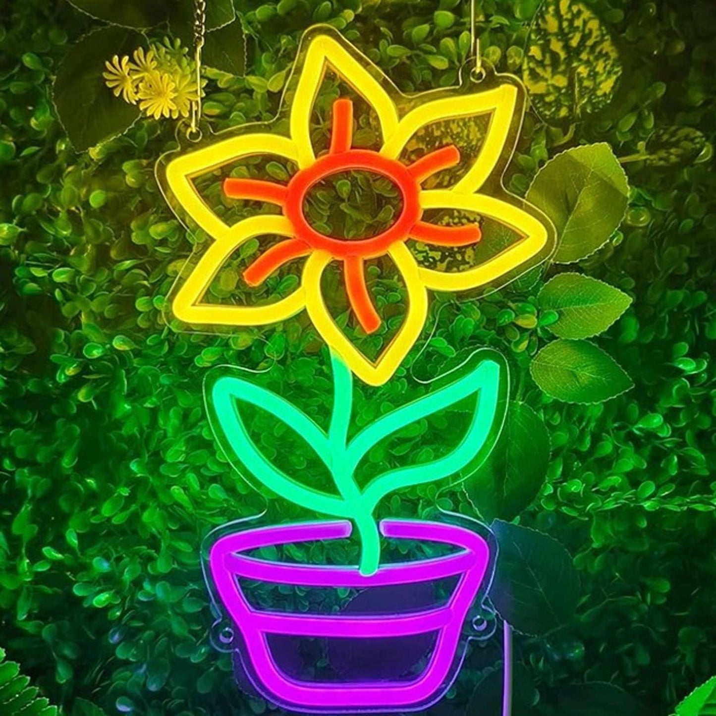 Lovely Vivid Bright Colorful Flower LED Night Light Room Wall Decor