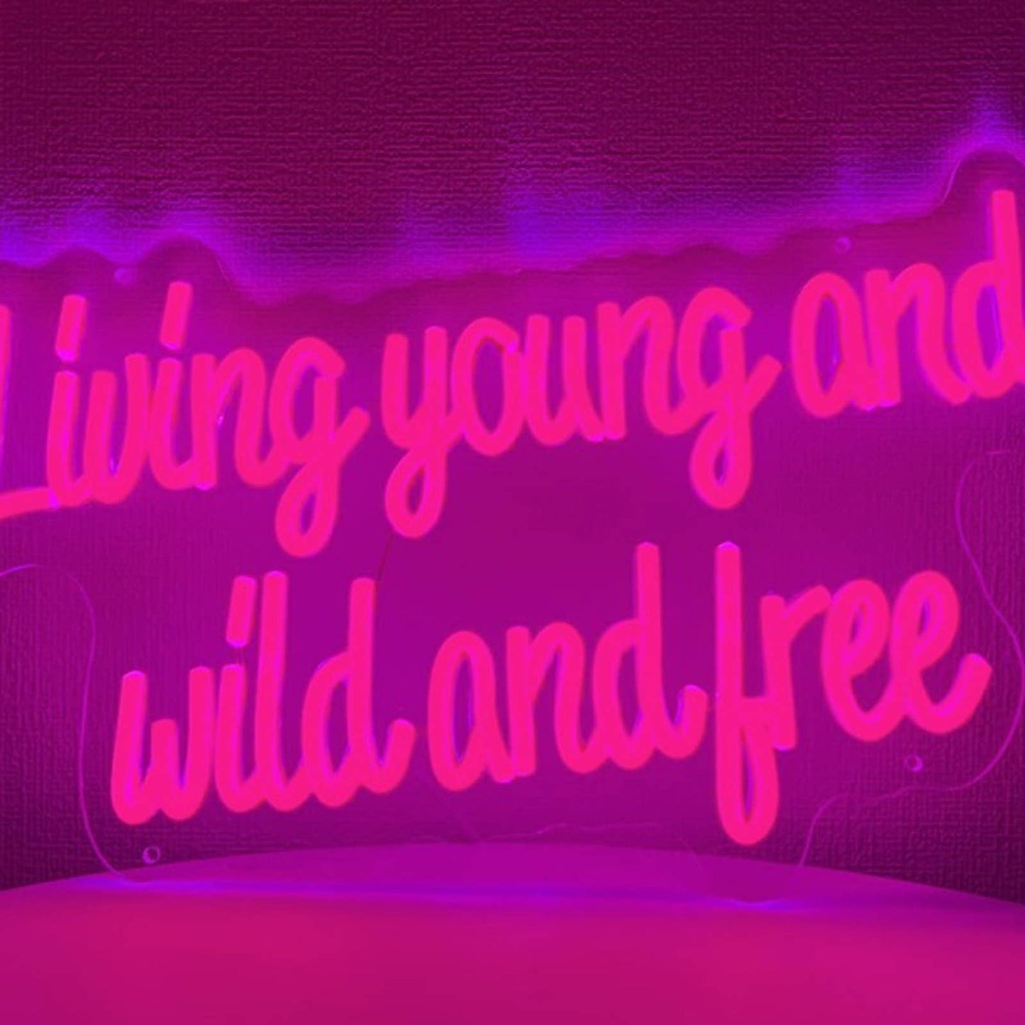 Lovely Fun Bright Pink “Living Young & Wild and Free” LED Night Light Room Decor