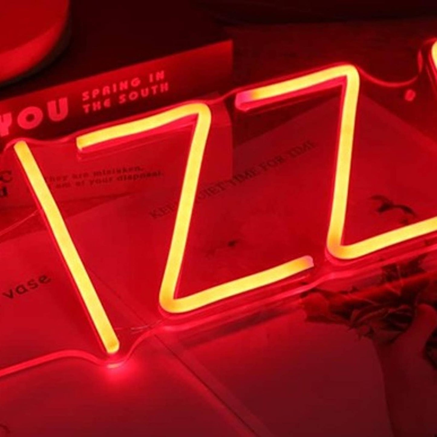 Simple Bright Red PIZZA LED Night Light Business Store Shop Sign