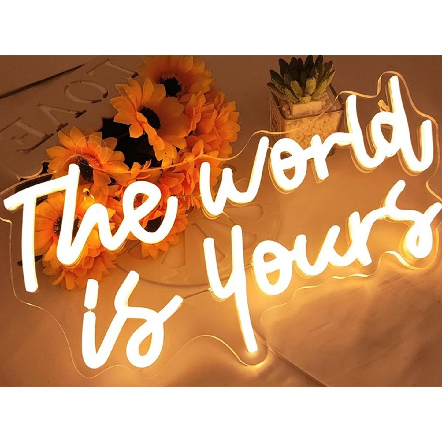 Lovely Simple Warm “The World is Yours” LED Light Room Wall Decoration