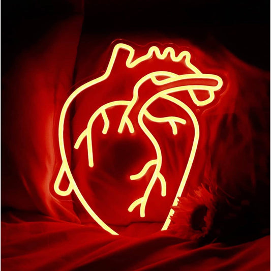 Bright Red Realistic Human Heart LED Night Light Room Wall Anatomy Decor