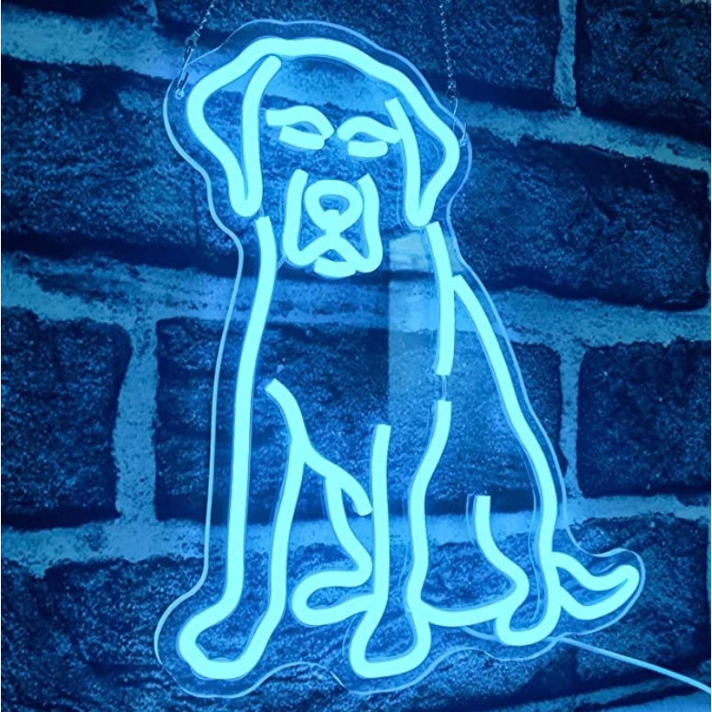 Vivid Bright Blue Labrador Puppy Dog LED Night Light Room Wall Decoration
