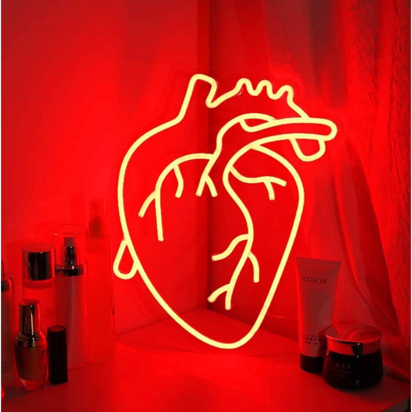 Bright Red Realistic Human Heart LED Night Light Room Wall Anatomy Decor