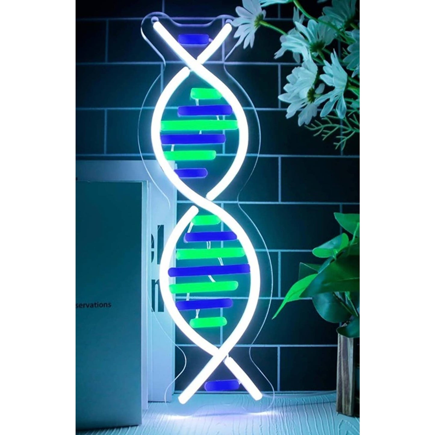Vivid Bright DNA LED Night Light Science Room Wall Decor