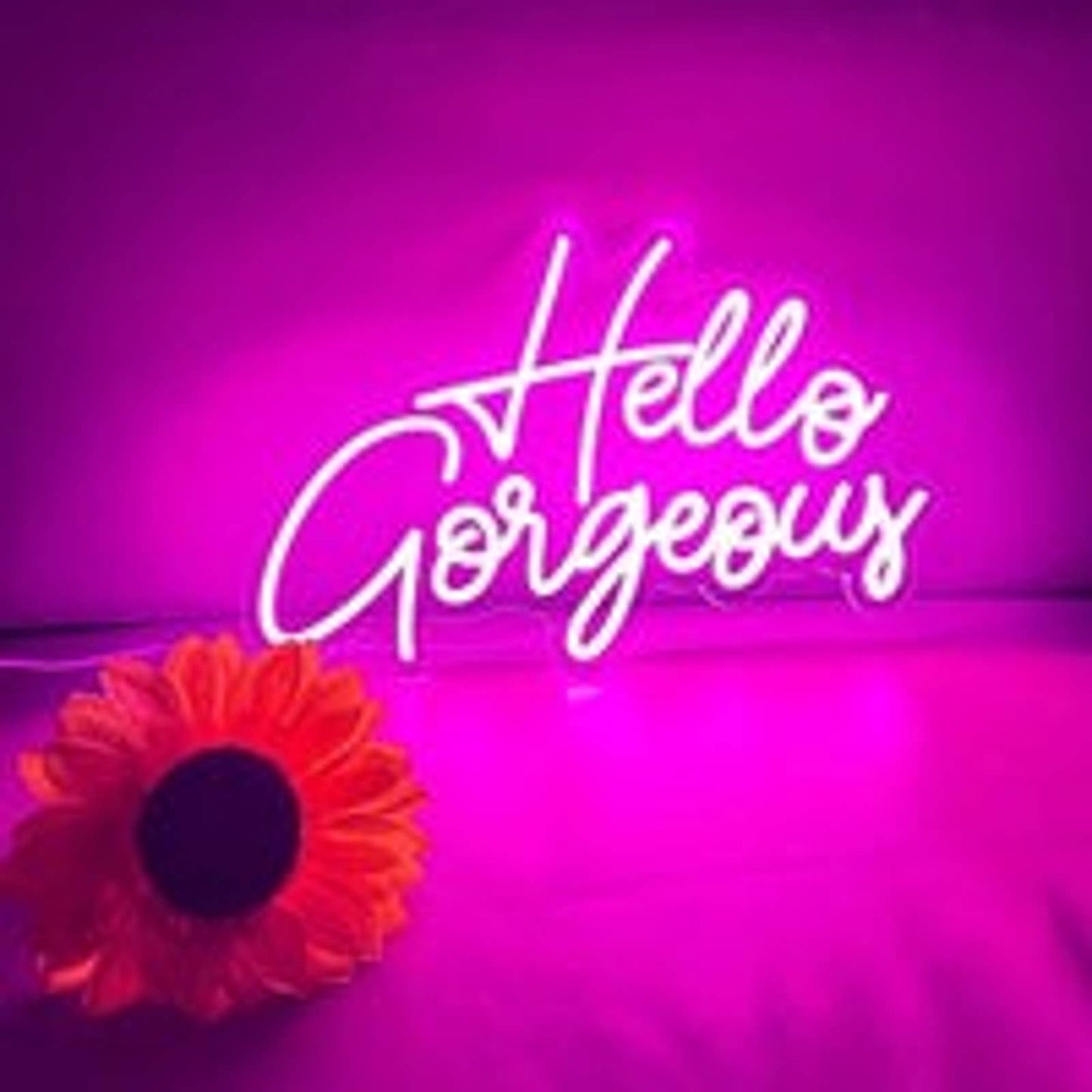 Adorable Vivid Bright Pink Hello Gorgeous LED Night Light Room Wall Decoration