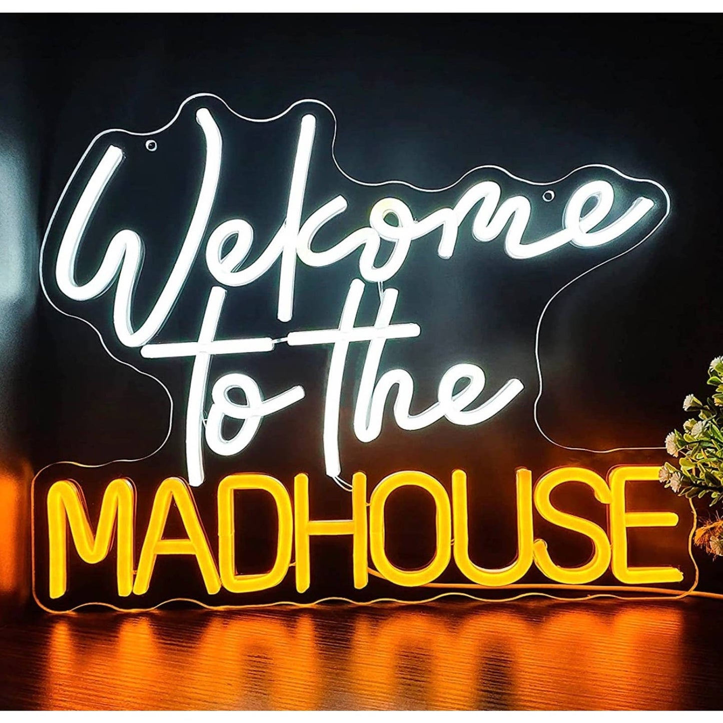 Fun Bright Multicolor “Welcome to the Madhouse” LED Night Light Room Wall Decor