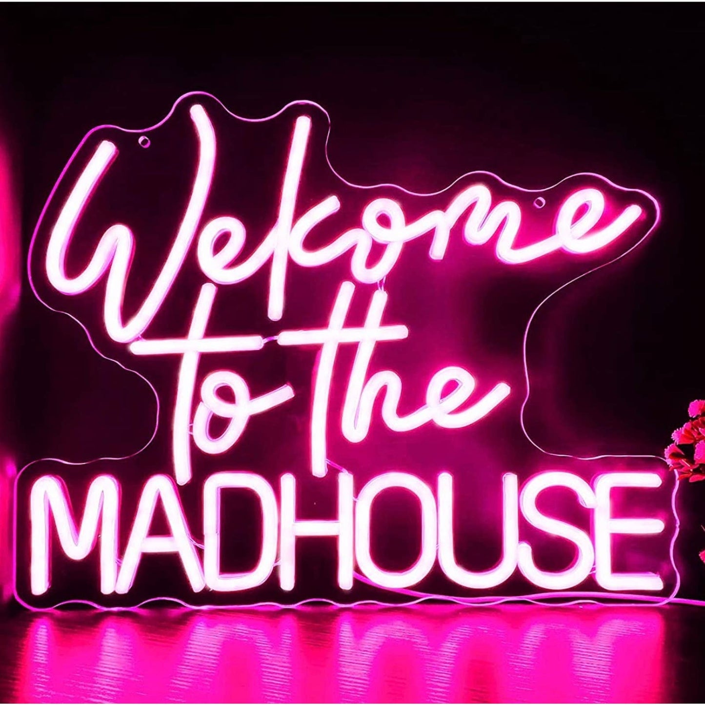 Fun Bright Pink “Welcome to the Madhouse” LED Night Light Room Wall Decoration