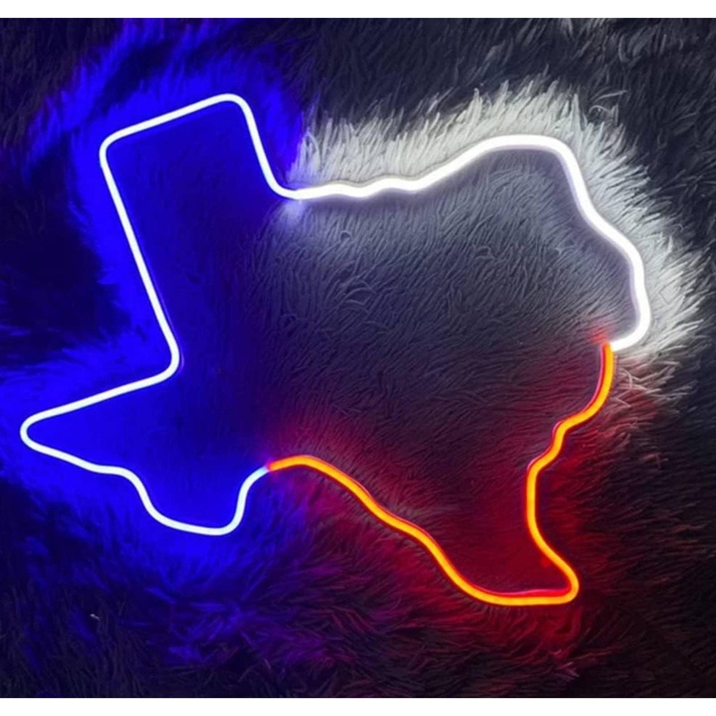 Vivid Bright Colorful Texas LED Night Light Room Wall Decoration